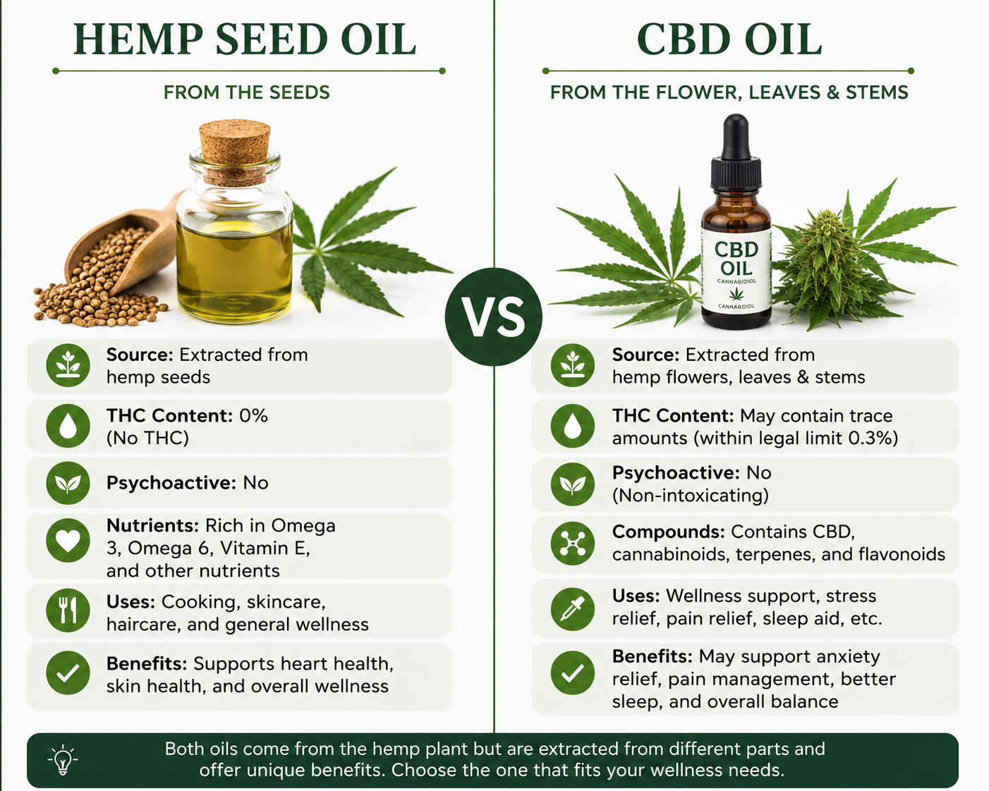 Hemp Seed Oil vs CBD Oil