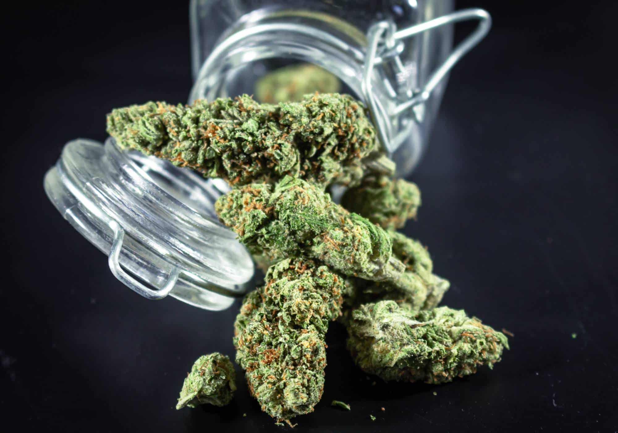 Places to Order Cannabis in Fujairah UAE